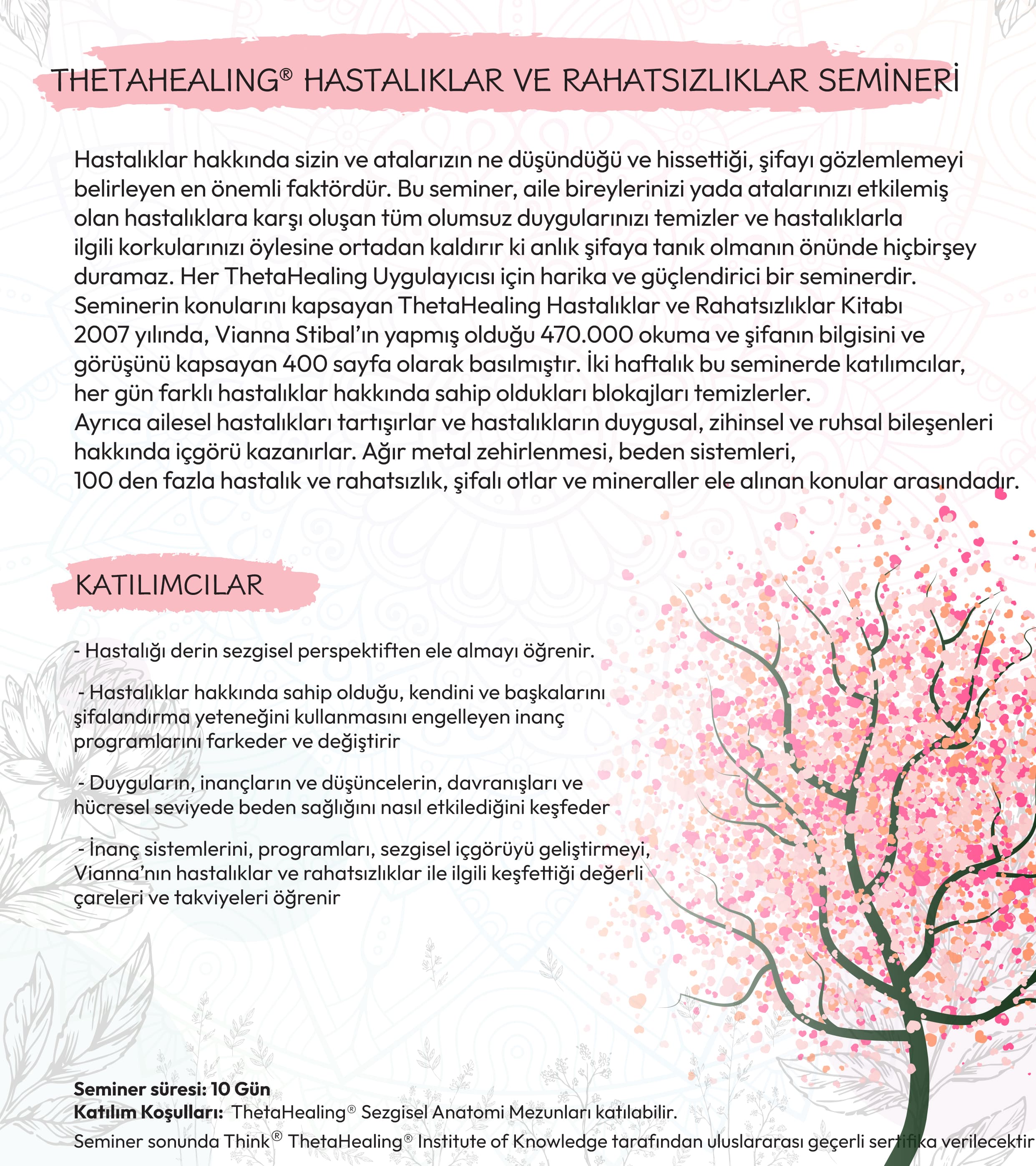thetahealing-hastaliklar-ve-rahatsizliklar-semineri