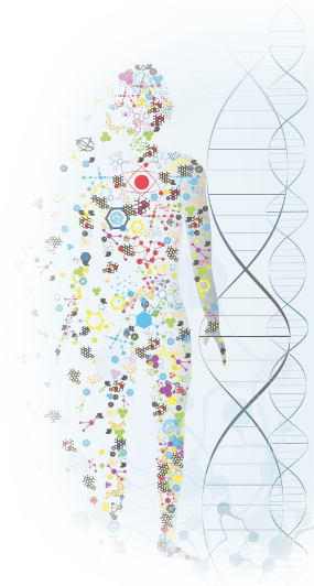 Thetahealing® Dna3 Semineri