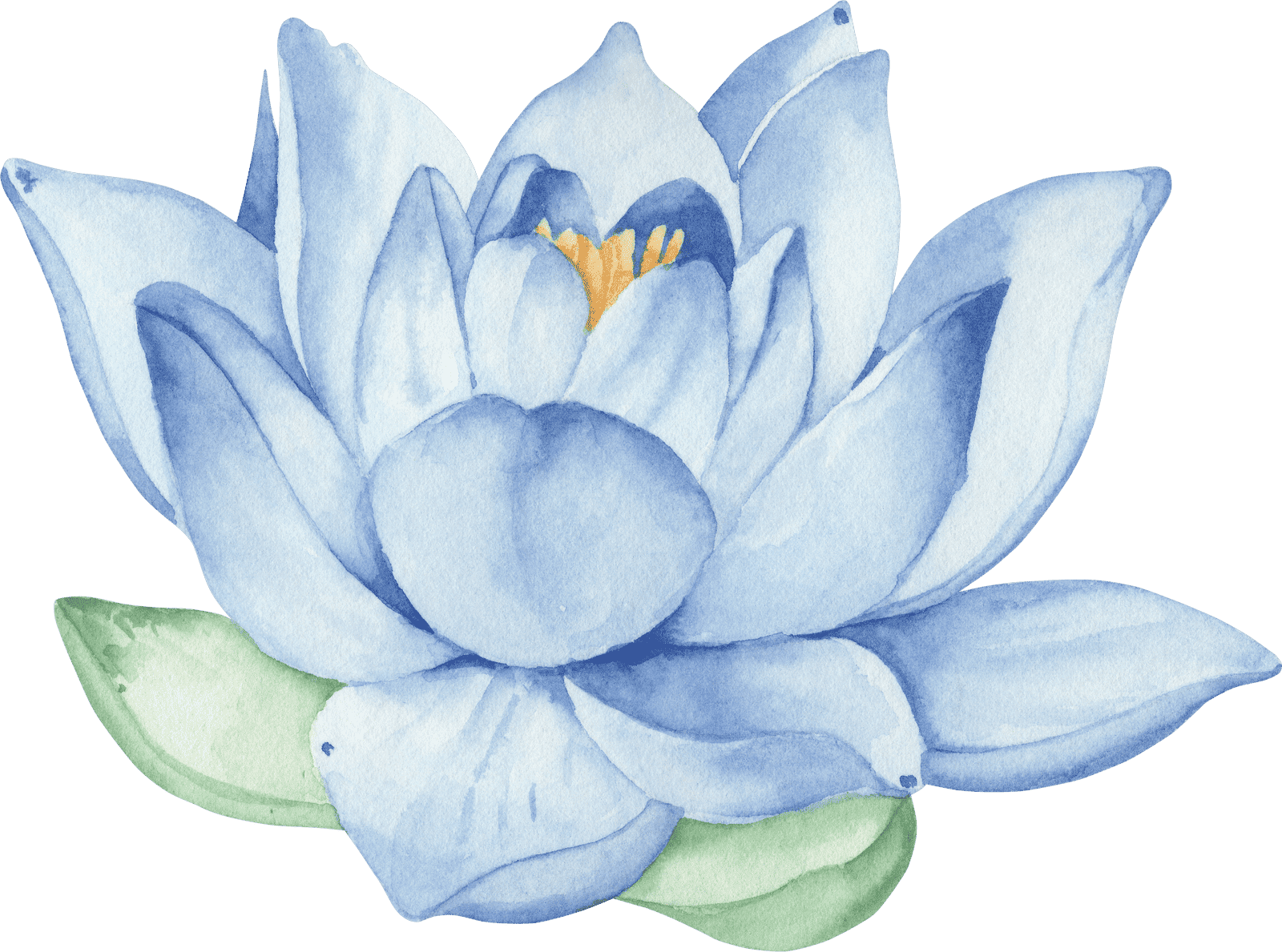 Thetahealing® Intuitive Anatomy / Sezgisel Anatomi Semineri